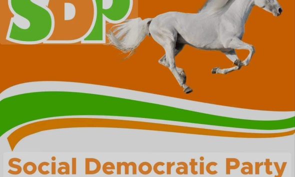 SDP