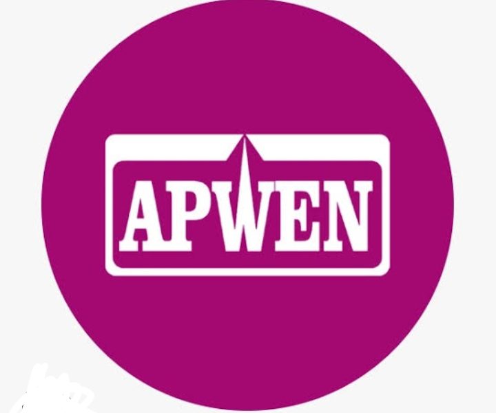APWEN boss, Osim laments poor funding for women engineers to embark on researches, projects