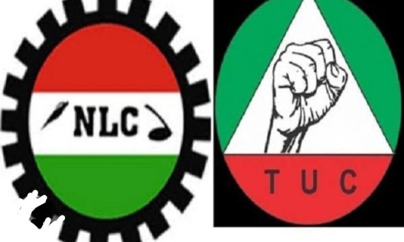 NLC
